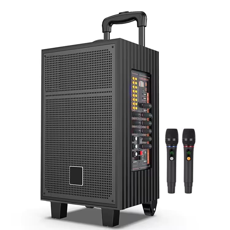 Portable mic and speaker SS-1 10000W