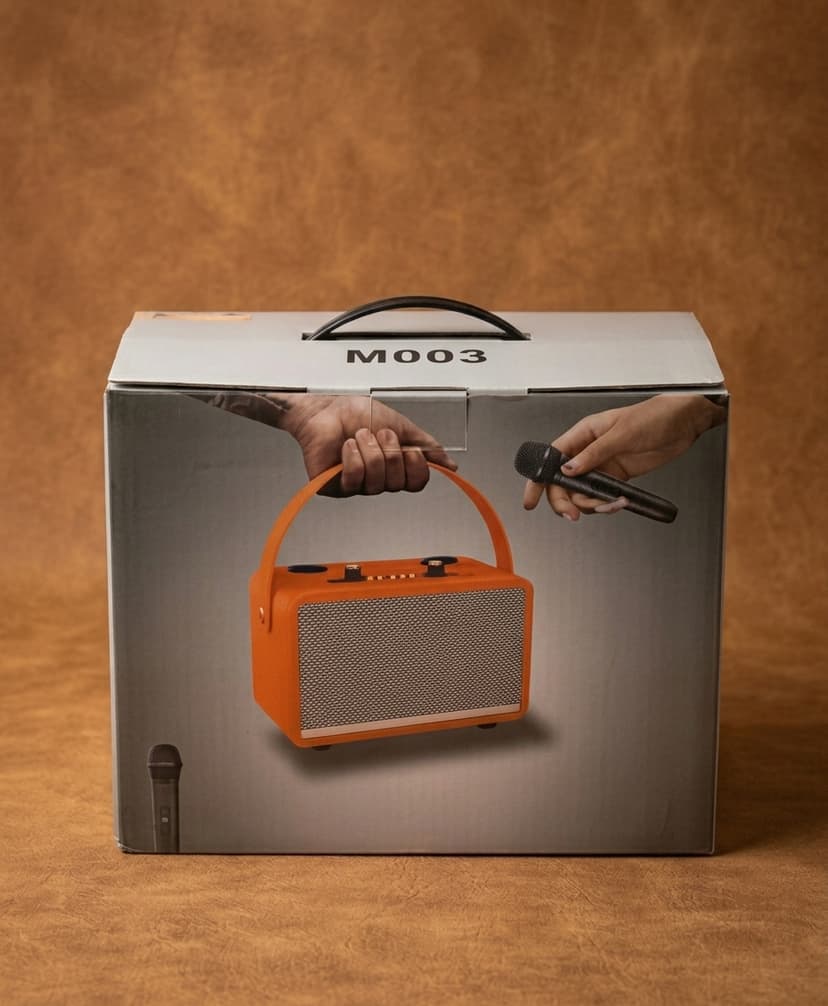 Radio type speaker with 2 mic