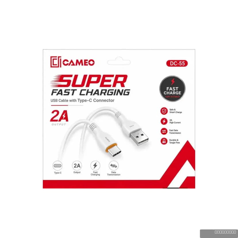 DC-55 2A Type-C