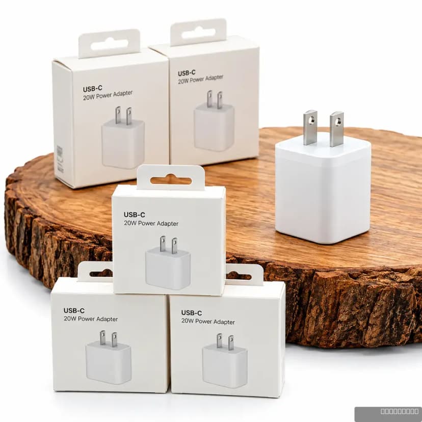 20W Adapter USB-C Two Pin