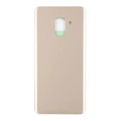 Back Panel for Samsung A730, A8(18)