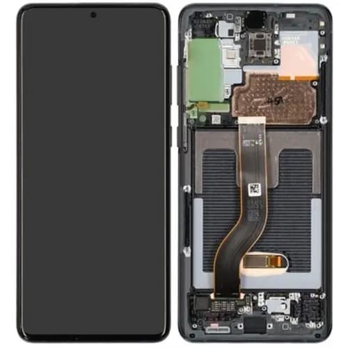 LCD for Samsung S20 Ultra W.F (Org)